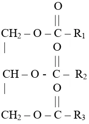 Gambar 2.1. Struktur Molekul Trigliserida 