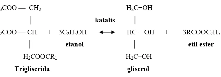 Gambar 2.3  Reaksi Transesterifikasi Trigliserida dengan Etanol  