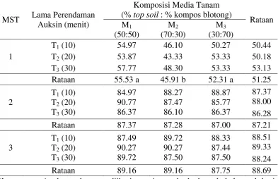 Tabel 2. Rataan persentase tumbuh tunas bibit tebu 1, 2 dan 3 MST (%) pada perlakuan komposisi media tanam dan  lama perendaman auksin 