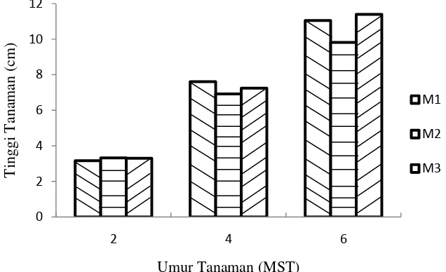 Gambar 5. Pertambahan tinggi tanaman dari 2 sampai 6 MST terhadap perlakuan  komposisi media tanam