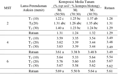 Gambar 11. Pertambahan jumlah daun dari 2 sampai 6 MST pada perlakuan  komposisi media tanam 