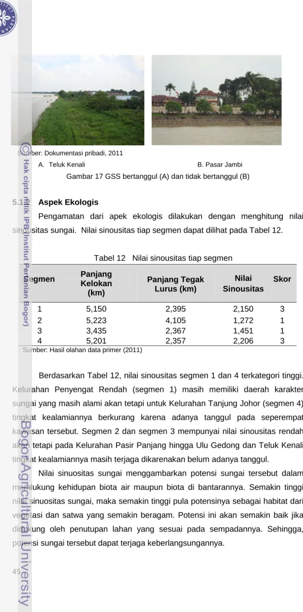 Gambar 17 GSS bertanggul (A) dan tidak bertanggul (B) 