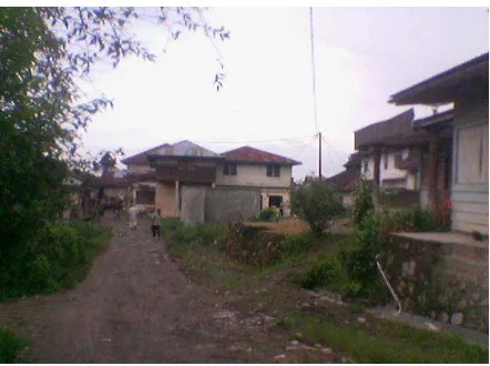 Gambar 1. Kondisi umum Desa Kutambaru Kecamatan Munte. 