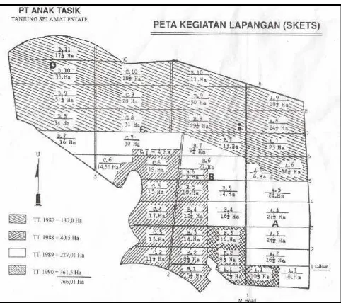 Gambar 1. Peta Areal Perkebunan PT. Anak Tasik Tanjung Selamat Estate