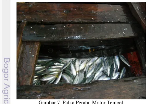 Gambar 7  Palka Perahu Motor Tempel 