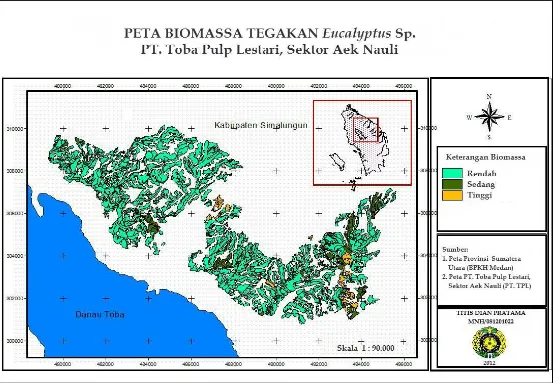 Gambar 4. Peta biomassa tegakan Eucalyptus spp. di HTI PT. TPL sektor Aek Nauli pada estate A dan B