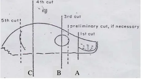 Gambar 3.1 Metode razor blade 