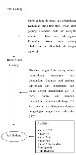 Gambar 3. Proses Pembuatan Pati Gadung (Dioscorea hispida Dennst 