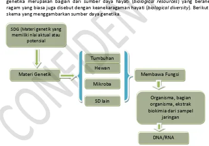 Gambar 1. Skema Sumber daya genetika 