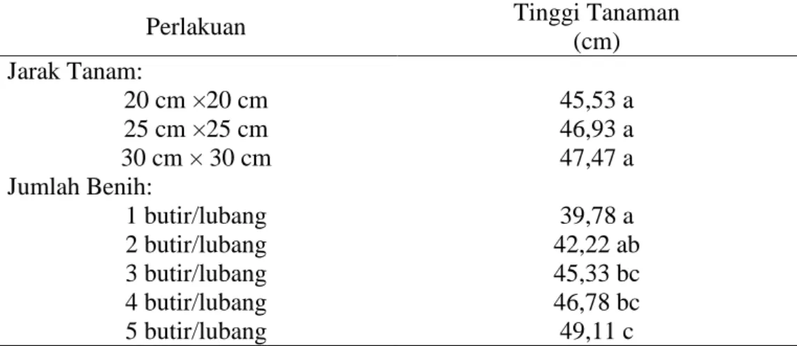 Tabel 5. Pengaruh  jarak tanam dan  jumlah  benih per  lubang  tanam  terhadap tinggi     tanaman pada umur 42 hari setelah tanam