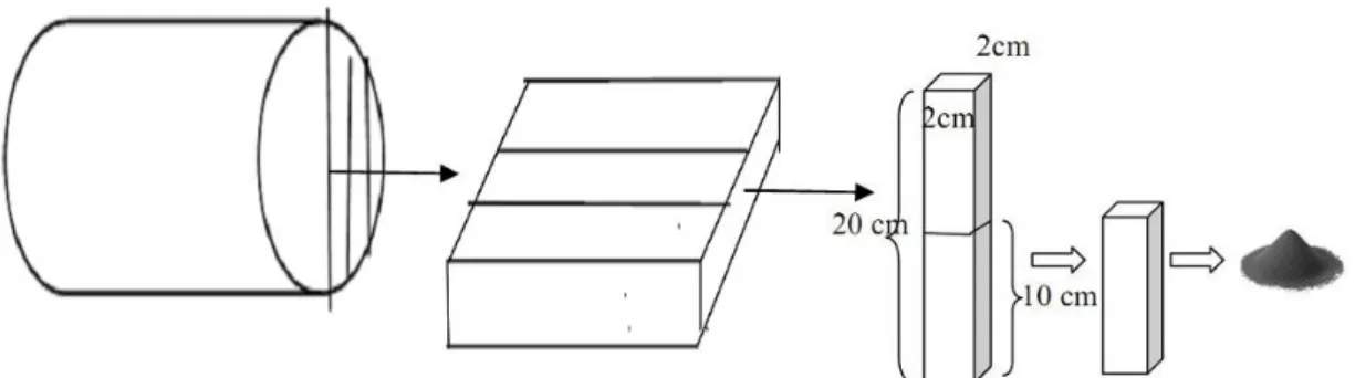 Figure 1. Scheme of sampling the log samples of mahogany wood from the bottom part of the tree  to  produce boards, sticks, and wood-meals for chemical analysis.