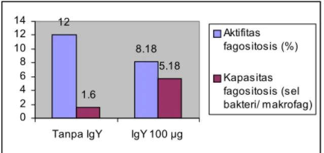 Gambar 5.  Nilai aktivitas dan kapasitas fagositosis makrofag  tanpa dan dengan preinkubasi IgY-Ss