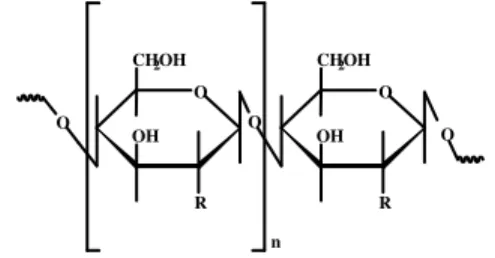Gambar 1  Struktur unit ulangan selulosa (R =  -OH), kitin (R = -NHCOCH 3 ), dan  kitosan (R = -NH 2 )
