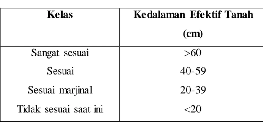 Tabel 1.2 Klasifikasi Kedalaman  Efektif Tanah  Kelas  Kedalaman  Efektif Tanah 