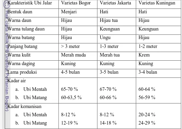 Tabel 19. Karakteristik Ubi Jalar Varietas Bogor, Jakarta, dan Kuningan  Karakteristik Ubi Jalar  Varietas Bogor  Varietas Jakarta  Varietas Kuningan 