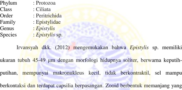 Gambar 2.6.  Epistylis sp.  (Dias et al., 2006)  Keterangan gambar:1. Silia; 2.Nukleus; 3.Vakuola; 4.Tankai 
