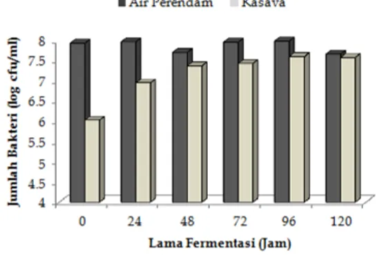 Gambar 2. Perubahan jumlah bakteri peng- peng-hasil asam selama fermentasi kasava (0-120  jam) dari sampel air perendam dan umbi  kasava