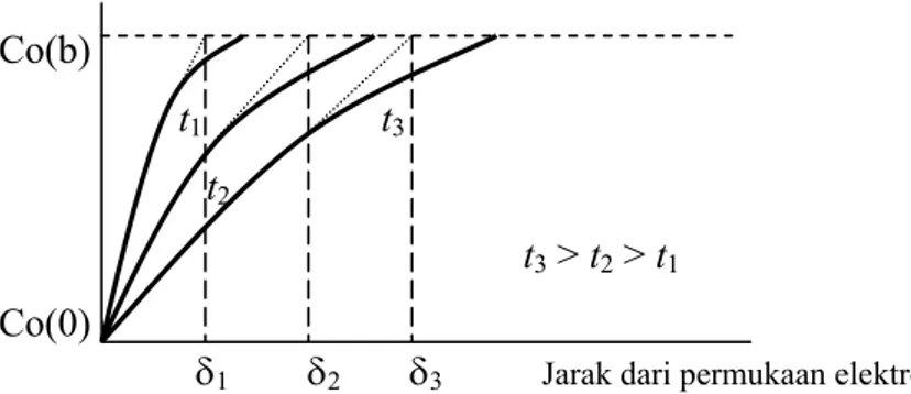 Gambar II.3. Profil konsentrasi pada waktu yang berbeda-beda (Wang, 2001). 