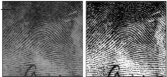 Gambar 1. Perbandingan tampilan citra sidik jari sebelum proses dan setelah proses image  enhancement 