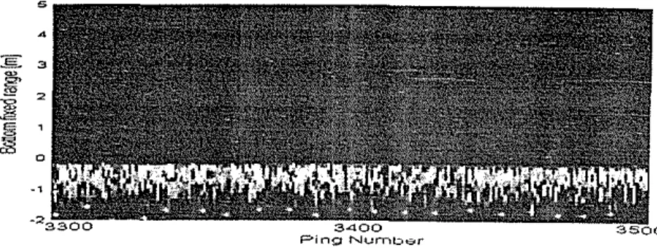 Fig. 4  Display simultan scattering strength ikan (SV) berdekatan  derlgan dasar laut  dan scattering strength uasar  laut (SS)
