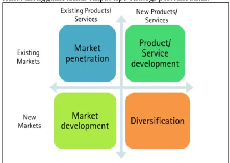 Gambar berikut menggambarkan empat tipe strategi pertumbuhan. 