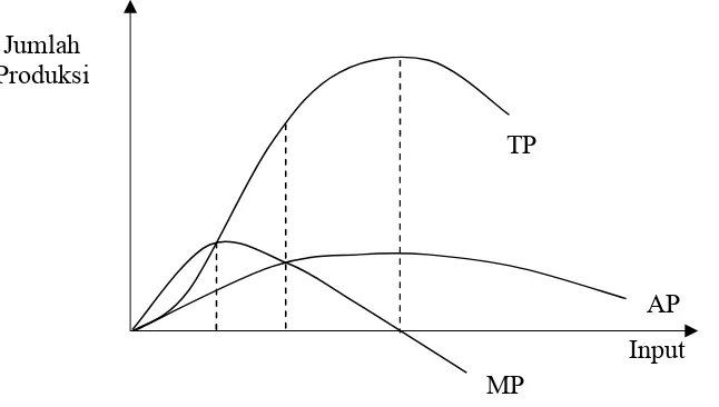 Gambar 1. Grafik Produksi Total, Produksi Marjinal dan Produksi Rata-rata