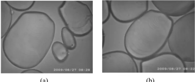 Gambar 1.  Bentuk granula pati ganyong dengan perbesaran 1000x a) sebelum  modifikasi dan b) setelah modifikasi 0,12% POCl 3