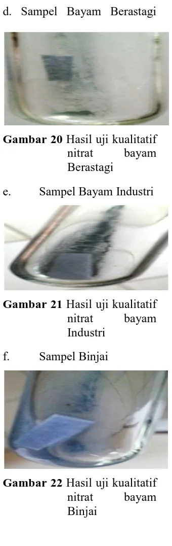 Gambar 20 Hasil uji kualitatif nitrat bayam 