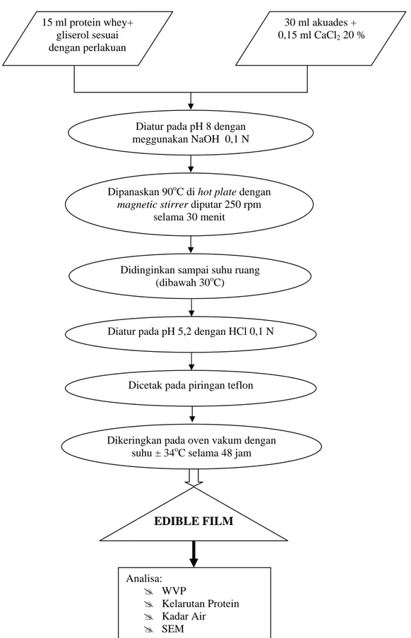 Gambar 1. Diagram alir pembuatan edible film protein whey (Galietta et al., 1998) Analisa: 