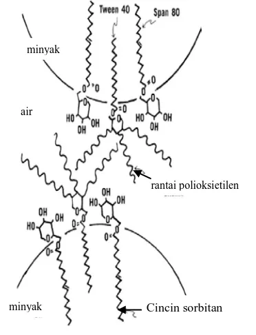 Gambar 2.2 Gambaran kombinasi dari zat pengemulsi pada batas minyak-air dari           suatu emulsi (Schulman dan Cockbain (1940) diambil dari Martin, et al., 1993)