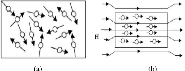 Gambar 2.5 Arah partikel pada magnet isotropi dan anisotropi 