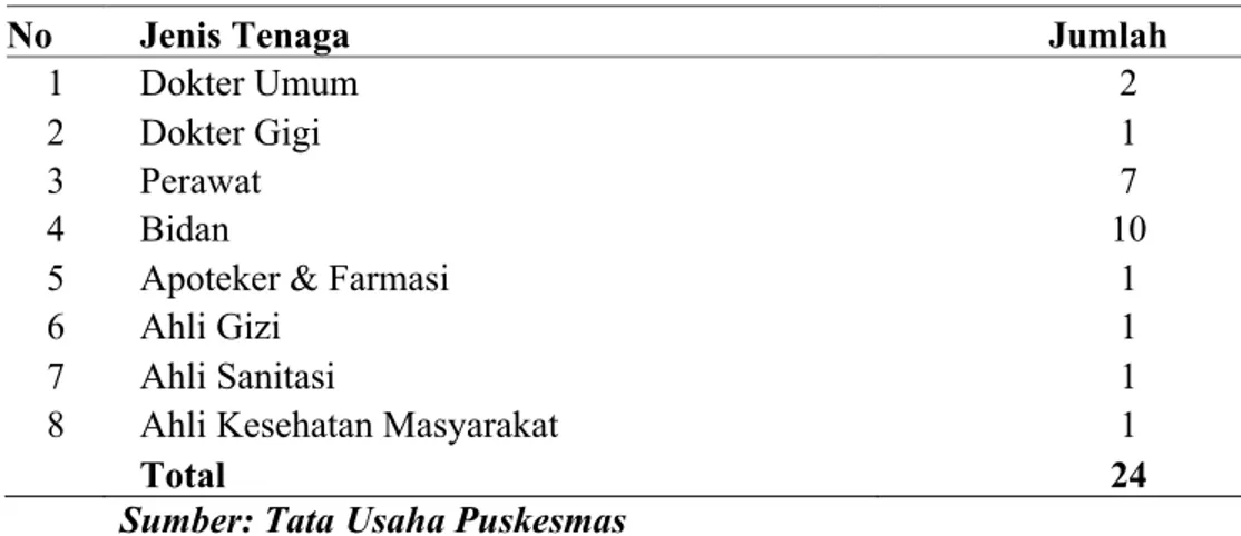 Tabel 4.2 Data Tenaga Kesehatan di Wilayah Kerja Puskesmas Sri Padang  Tahun 2016