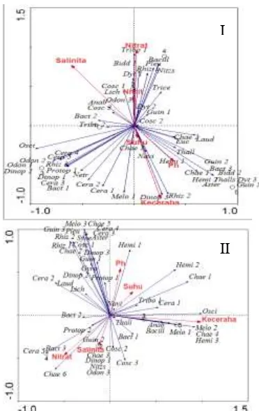 Gambar 7. Hasil Ordinasi Triplot RDA periode ketiga dn keempat pengambilan sampel 