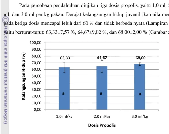 Gambar 5.  Derajat  kelangsungan  hidup  (%)  juvenil  ikan  nila  merah  pada  percobaan pendahuluan 