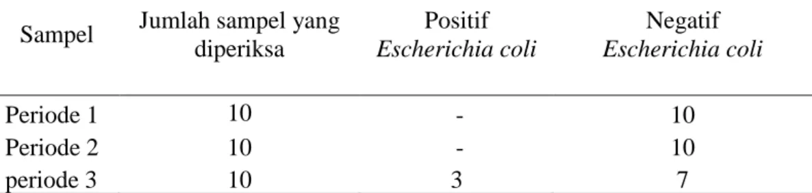 Tabel 1. Hasil isolasi Escherichia coli pada telur burung puyuh yang gagal menetas di Desa  Garot, Kecamatan Darul Imarah, Aceh Besar