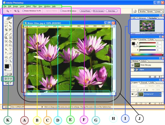 Gambar 2.2 di bawah memperlihatkan tampilan area kerja photoshop setelah file Water lilies.jpg  dibuka