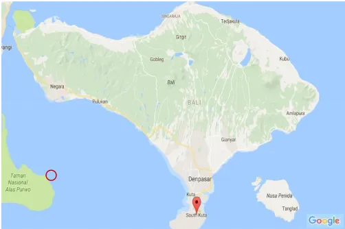 Gambar 1. Pulau Bali 