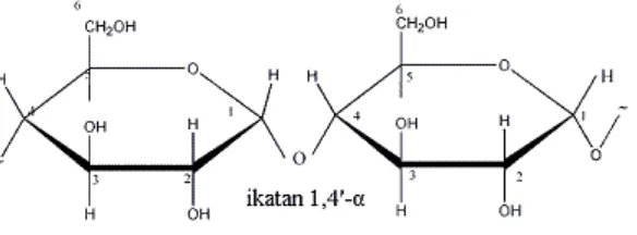 Gambar 2.4 Struktur Struktur amilosa 