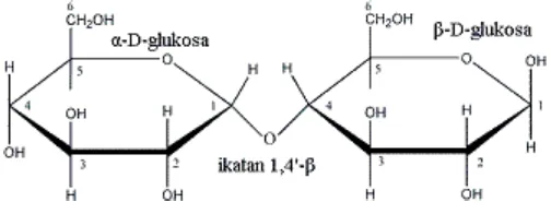 Gambar 2.2 Struktur maltosa 