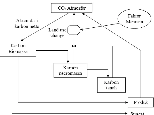 Gambar 2.   Model  dasar  tempat  penyimpanan dan fluks C dalam dan antara  ekosistem hutan tropik dan atmosfer (Brown et al., 1993) 