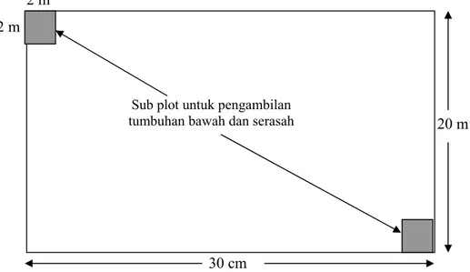 Gambar 4. Desain sub plot di dalam plot pengambilan pohon contoh pada  masing-masing kelas umur untuk pengambilan tumbuhan bawah  dan serasah dengan ukuran 2 m x 2 m