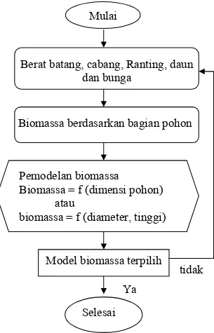 Gambar 7. Diagram alir pembuatan model penduga biomassa pohon 