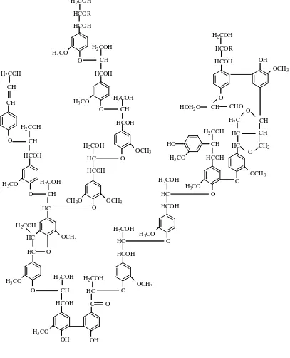 Gambar 2.1 Struktur lignin (Adler. 1977) 