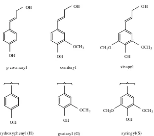 Gambar 2.2 Unit penyusun lignin (Lewis and Etsuo. 1990) 