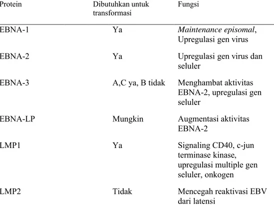 Tabel 2. Contoh Protein fase laten infeksi EBV 20