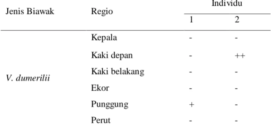Tabel 5  Infestasi dan sebaran caplak tiap regio biawak dumerili. 