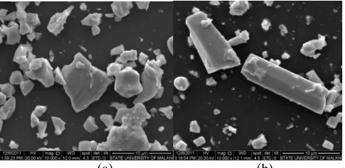 Gambar 5. Morfologi Permukaan Aurivillius  (a). CaBi2BaBiTa2O9 dan (b). NbTaO 