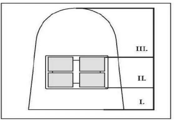 Gambar 6. Skema distribusi permukaan gigi untuk                evaluasi                             oklusal, II = area sentral, III = area servikal.Ortho-Plaque Index, I = area 19 