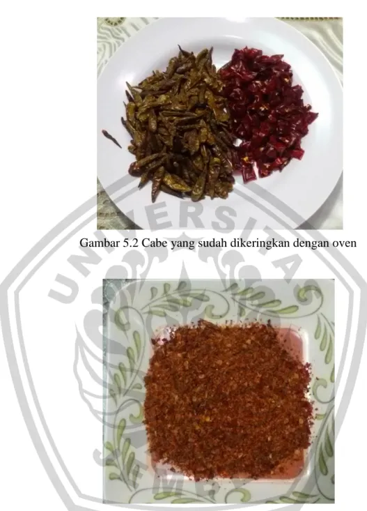 Gambar 5.3 Abon Cabe Hasil Optimasi 