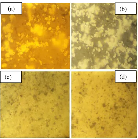 Gambar 4 Morfologi partikel : (a) tanpa MgCl2, (b) 1 gram Mg, (c) 2 gram Mg, dan (d) 3 gram Mg  melalui pengamatan mikroskop optik 